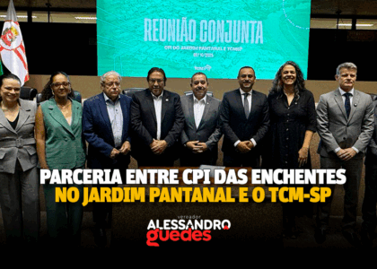 tcm-sp e cpi das enchentes